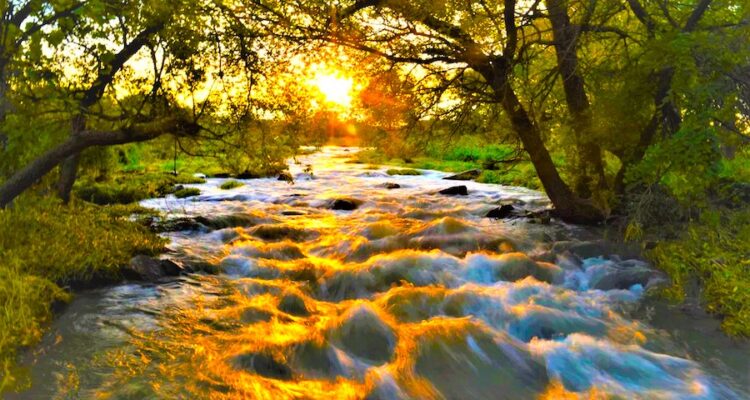 A creek with water running toward the camera's perspective. The sunrise is occurring towards the direction of the head of the creek. The creek has many rocks in it, make the water run as rapid. The land area around is grassy with trees that are filtering the sunset. The sun is bright yellow and reflects on the rapids.
