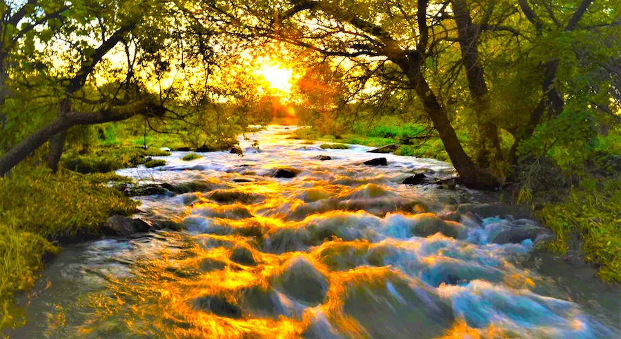 A creek with water running toward the camera's perspective. The sunrise is occurring towards the direction of the head of the creek. The creek has many rocks in it, make the water run as rapid. The land area around is grassy with trees that are filtering the sunset. The sun is bright yellow and reflects on the rapids.