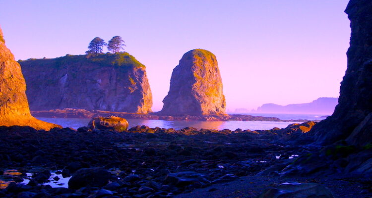 A shady, rocky coastline, with giant sun illuminated rock formations just off the coast. The formations are shoals and small islands or rock columns called sea stacks. One sea stack has 2 trees on top of it. A light mist is in the background. The sky is a purple-blue.