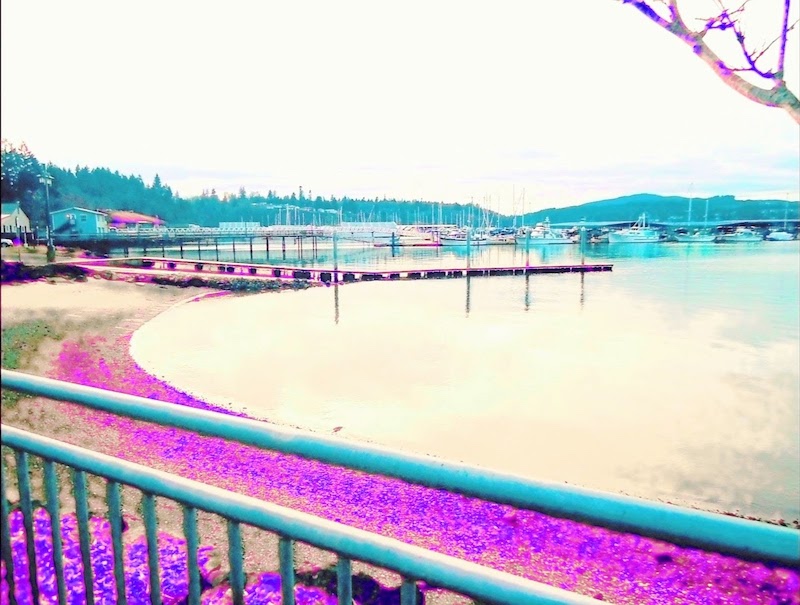 A view of a calm waterfront marina, including a dock with many parked boats behind it. The terrain in the background is hilly.