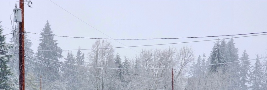 On a cold, wintry December afternoon there is a white sky with wintry trees in the background and poles in the foreground.
