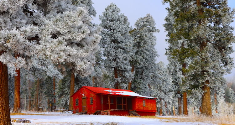 A rustic brown cabin nestled in a snowy forest clearing. Snow-laden evergreen trees stand tall in the background and foreground, framing the quaint cabin. A light dusting of snow blankets the ground, creating a peaceful winter wonderland scene.